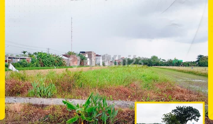 Dijual Tanah di Baki Pandeyan Dekat ke Jl Raya Solo Baru Gentan