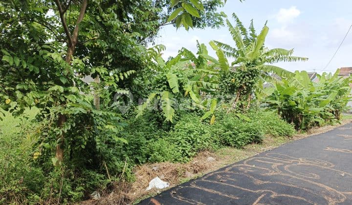 Dijual Tanah Pekarangan di Solo Baru