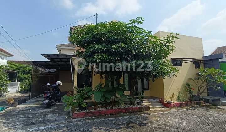 Rumah Sewa di Sumber Solo