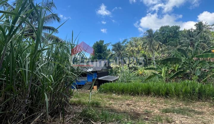 Tanah Luas Area Bantur Akses Mudah Balekambang Potensi Investasi