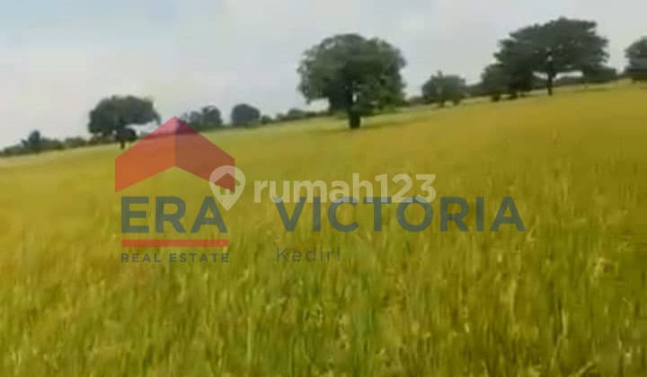 Tanah di Gempoltumloko Lamongan 4 menit dari KORAMIL Sarirejo