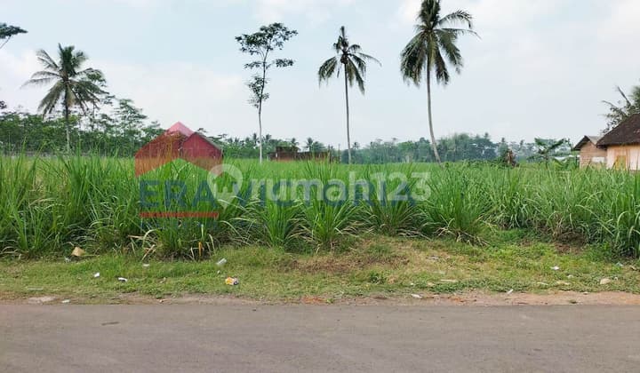 Strategic Land in Pakisaji Near Schools & Residential Areas Suitable for Housing