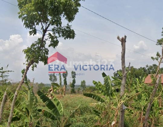 Jual Tanah di Ngetos Kab Nganjuk Cocok Pertanian & Perumahan