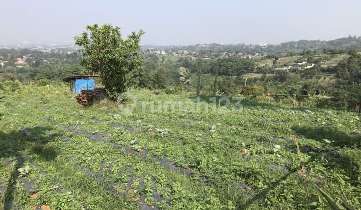 Tanah di Lembang.cek Segera Tanah 1 Lantai yang Asri Ini, Dijual Menghadirkan Lingkungan Fasilitas yang Lengkap, Cocok untuk Anda yang Menginginkan Hunian Nyaman.spesifikasi Utama Properti: - Sertifikat: SHM - Sertifikat Hak Milik