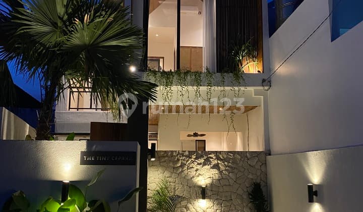 Modern Tropical Villa Cepaka Tumbak Bayuh Near Canggu Villa SHM in Cepaka