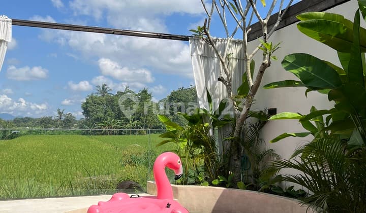 Villa Private Pool Homey Banget di Pusat Kota Jogja