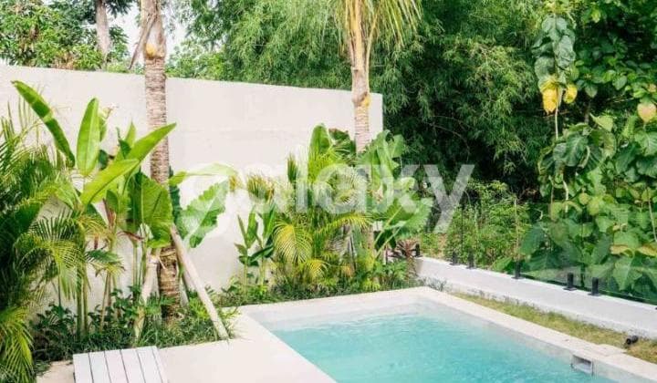 New Loftbung Villa at Balangan Beach, Ungasan, Badung, Bali