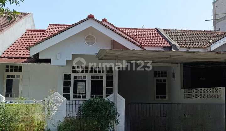 Rumah Ada Halaman Belakang di BSD, Masih Nego