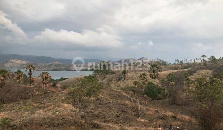 Tanah di Labuan Bajo Cocok untuk Resort atau Hotel Dekat Hotel Ayana