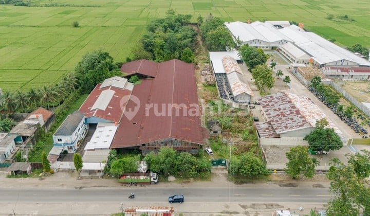 Tanah Strategis 1,3 Ha di Jalur Utama Purbowangi Kebumen Area Pergudangan & Industri, Purbowangi, Buayan, Kebumen