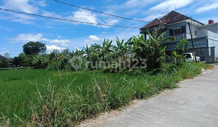 Tanah Sawah Strategis Potensi Agribisnis dan Investasi Masa Depan di Kebondalem Madurejo Prambanan Sleman