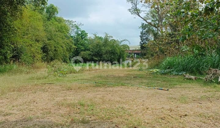 Tanah Kavling Dekat Lokasi R S Panti Rapih yang Akan Dibangun di Kulonprogo