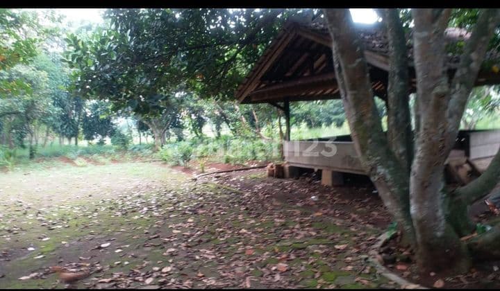 Land for Sale on Jln Pondok Petir Depok
