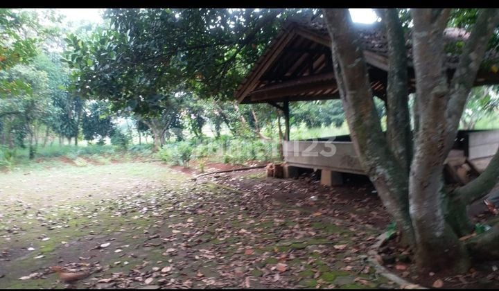 Tanah Dijual Di Jln Pondok Petir Depok