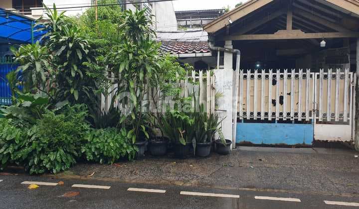 Rumah Lama 1 Lantai di Jl Kayu Putih Tengah Pulo Gadung Jakarta Timur