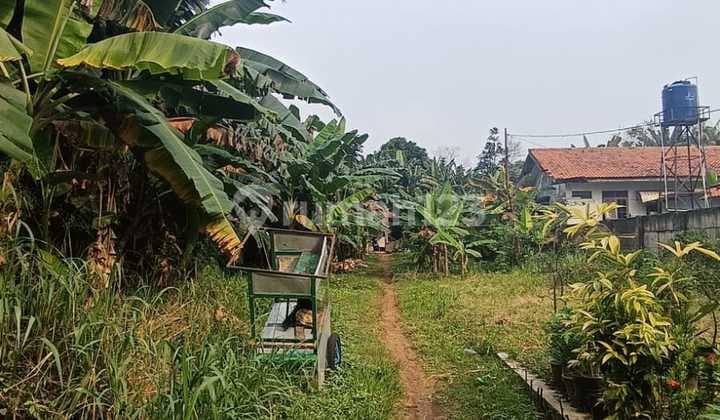 Tanah Kosong Strategis Di Jl Gg H Neming Lb Bulus Cilandak Jaksel