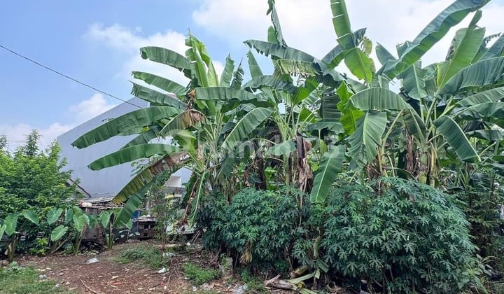 Tanah Strategis Harga Under NJOP di Pinggir Jalan Raya Limo - Seberang Superindo!