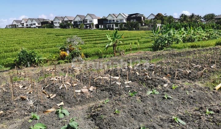 Tanah Dijual Bali, Luas 600 Meter, Kode :21428 Li