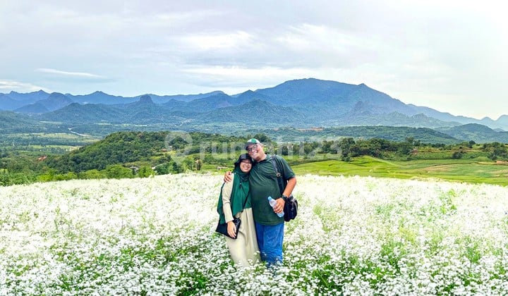 TANAH SHM LUAS DAN MURAH DI PUNCAK CIPANAS GRATIS EMAS