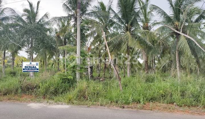 Mp037 Dijual Tanah 10.950 m2 Jl. Senggarang - Tanjungpinang