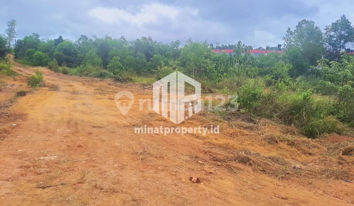 Mp090 3 Hectares of Land Located at Batu 9 Tanjungpinang