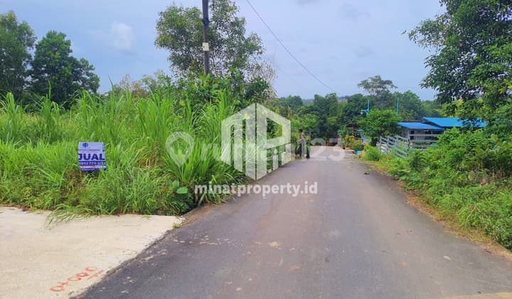 Mp111 For Sale Land 600m2 Location Jl. Kepodang Tanjungpinang