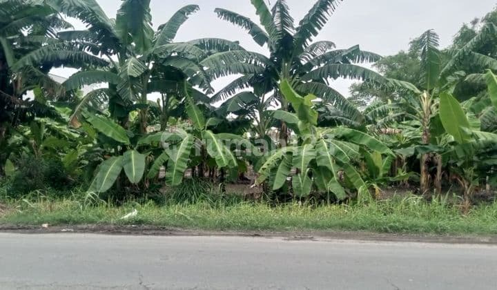 Dijual Tanah Daerah Menganti, Gresik