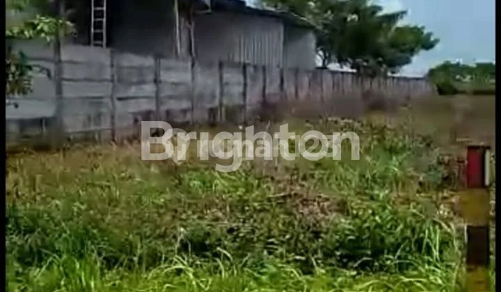 LAND IN GRESIK LAND IN GRESIK