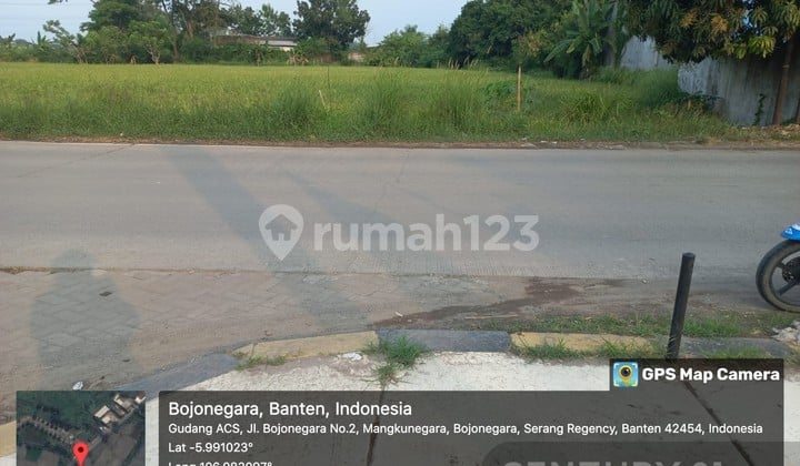 Tanah Sawah Jalan Raya Bojonegara Zona Pergudangan