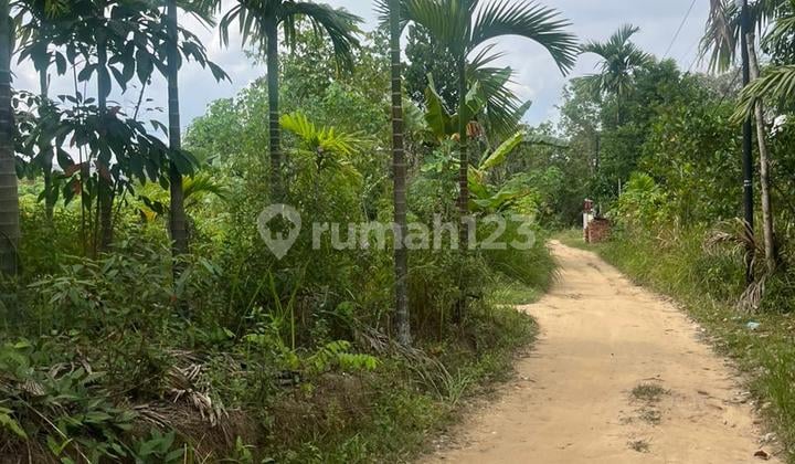 Dijual Tanah Murah Bagan Pete.kota Jambi