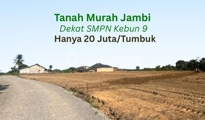 Dijual Cepat Tanah Murah Lokasi Kebun 9 Kota Jambi