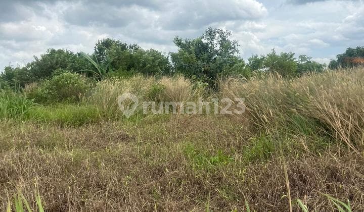 Dijual Tanah Murah Lokasi Simpang Rimbo, Kota Jambi