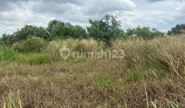 Dijual Tanah Murah Lokasi Simpang Rimbo, Kota Jambi