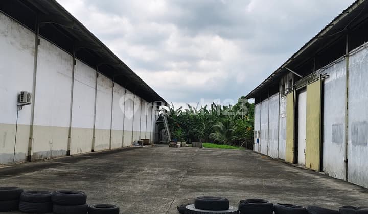 sewa tanah kavling untuk bangun gudang 1300 meter di Jurumudi