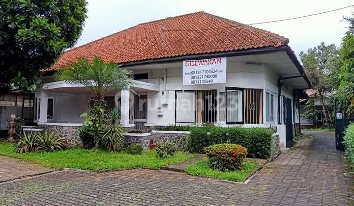 Vintage Residence Suitable for Cafe and Office