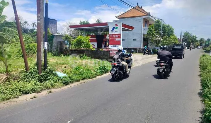 Murah Gudang Luas 2 Are di Denpasar Timur Murah Gudang Luas 2 Are di Denpasar Timur