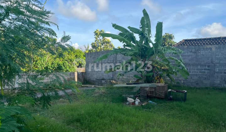 Tanah 3 Are Plus Bangunan SHM di Dalung Permai