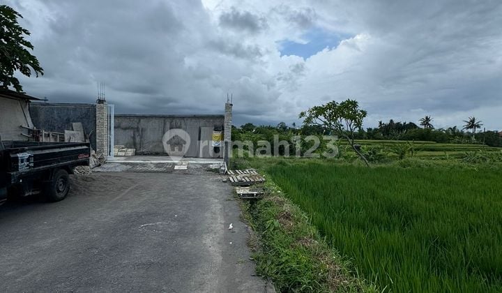 Tanah 2 Are Shm View Sawah di Ketewel