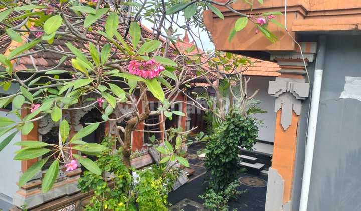 Disewakan Rumah Style Bali Dekat Canggu Ipp