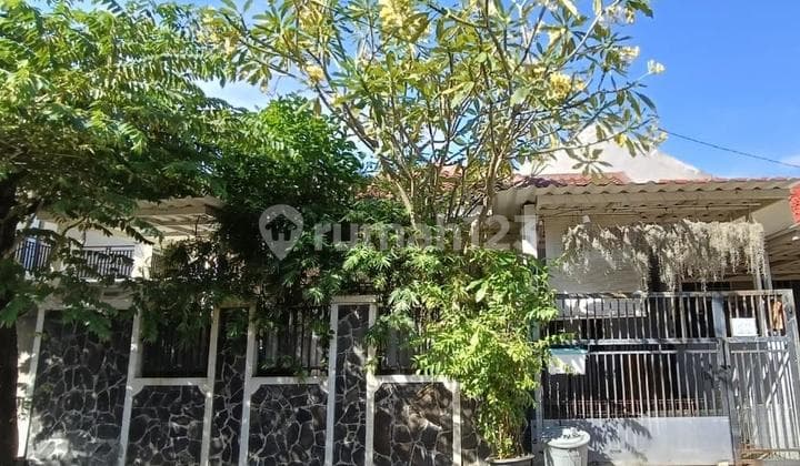 Rumah Rapi dan Siap Huni di Nusaloka BSD