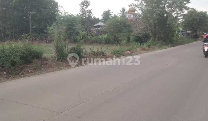 Tanah Pinggir Jalan Raya Tenjo Kab Bogor