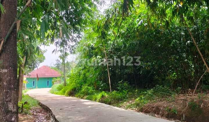 Tanah Tenjo Lokasi di Kelilingin Perumahan Cocok buat investor
