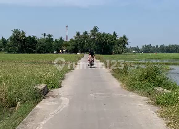 Tanah Lokasi Strategis Dekat Tol Di Sangiang Gede Sepatan Timur Tangerang