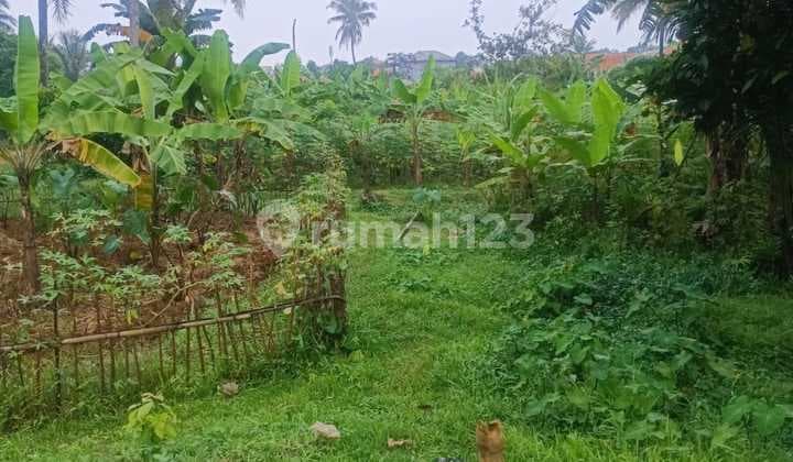 Tanah Cocok Untuk Pengembang Perumahan dan Apartemen