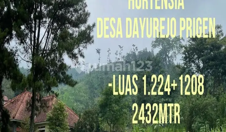 Kavling Villa Hortensia Ledug Prigen Pasuruan