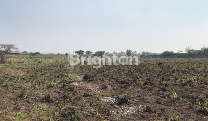 Jetis Mojokerto land is suitable for agricultural land/chicken coops.