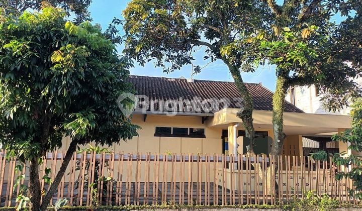Rumah Jadul Malang Cocok Buat Cafe Kekinian