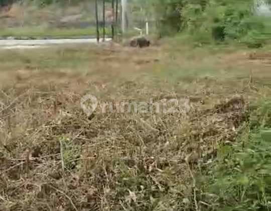 Tanah Pinggir Jalan.kilo 13