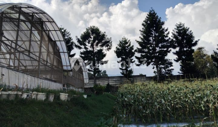 SHM Land 8,990m² Ready to Develop in Lembang Asri.