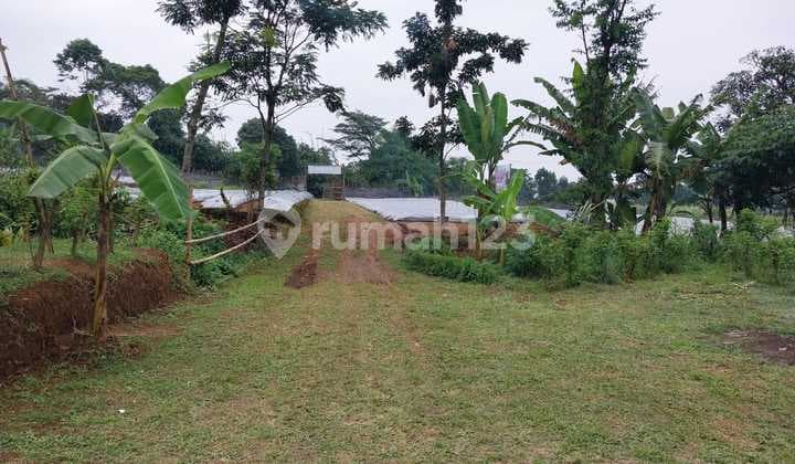 Tanah Exclusive 1,6 Ha Shm Di Wanayasa Purwakarta
